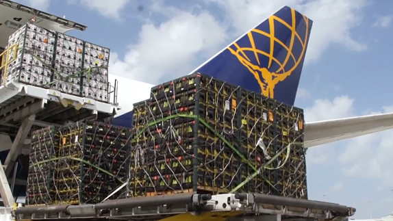 Tail section of a cargo airplane with large netted containers being unloaded. It is a still image from a video case study about Apollo’s private equity and capital solutions in global aviation logistics.